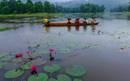 Discover the Natural Beauty and Calm of Chandubi Lake Today
