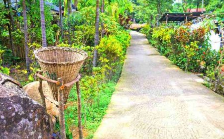 Mawlynnong Village – Explore Asia’s Cleanest Village in Meghalaya