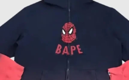 Spider Hoodie: A Deep Dive Into the Streetwear Sensation