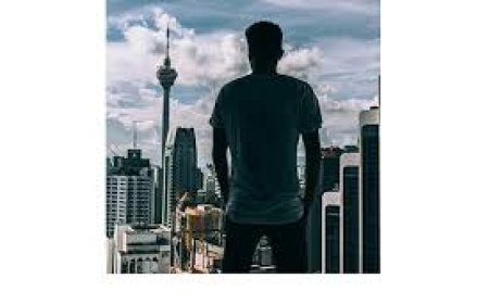 Why Benj Geerling’s Team is the Best Choice for Hazardous Tree Removal