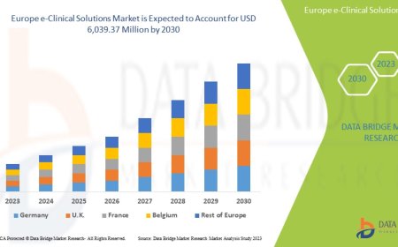 Europe e-Clinical Solutions Market Size, Share, Trends, Demand, Growth, Challenges and Competitive Outlook
