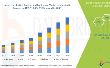 Europe Transfection Reagent and Equipment Market Size, Share, Trends, Demand, Growth and Competitive Analysis