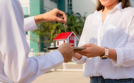 Why You Should Buy a Property Immediately: A Smart Move in Today’s Market