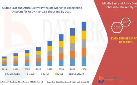 Middle East and Africa Diethyl Phthalate Market Size, Share, Trends, Key Drivers, Demand and Opportunity Analysis