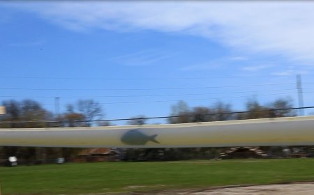 Is AI Fish Recognition The Game-Changer for Fisheries Management?