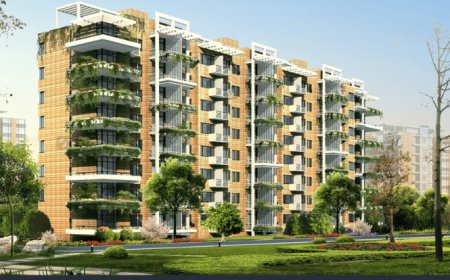 Biophilic Design in Dubai’s Wellness-Focused Architectural Models