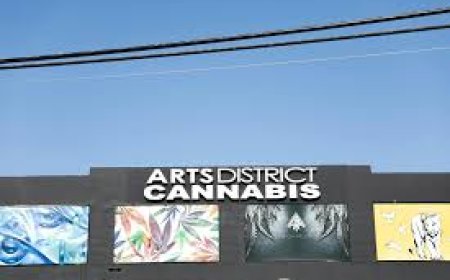 Exploring the Cannabis Culture of the Weed Dispensary Arts District