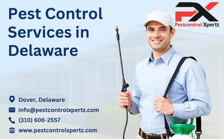 Top Tips for Choosing Reliable Pest Control in Glasgow