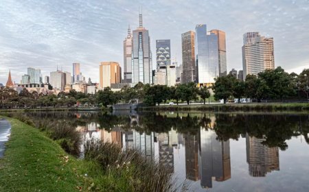 What Should You Look for in Singapore Apartments for Rent?