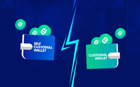 The Rise of Self-Custody: How Crypto Investors Are Taking Control?