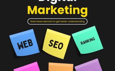 Best SEO Companies in Delhi for Advanced Development & Success