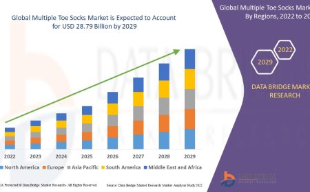 Multiple Toe Socks Market expected to reach the value of USD 28.79 billion by 2029