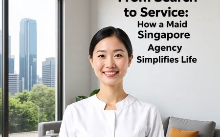 From Search to Service: How a Maid Singapore Agency Simplifies Life