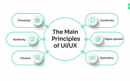 UX/UI Design Principles for the Modern Web: A Beginner’s Guide