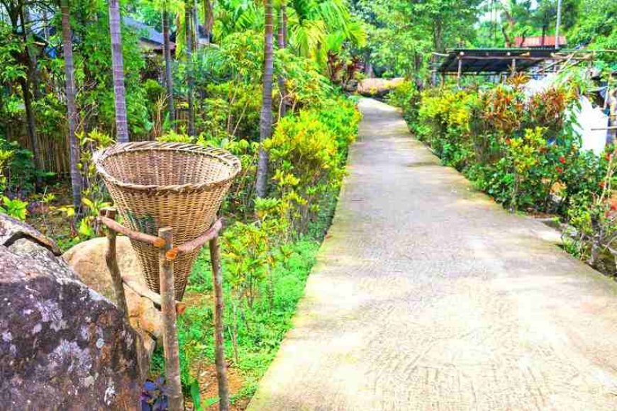 Mawlynnong Village – Explore Asia’s Cleanest Village in Meghalaya