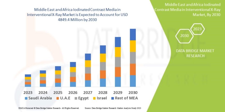 Middle East and Africa Iodinated Contrast Media in Interventional X-Ray Market Size, Share, Trends, Demand, Growth and Competitive Analysis