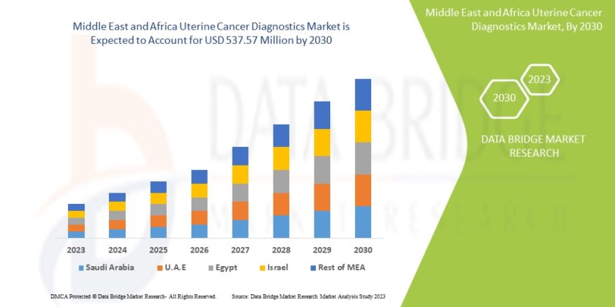 Middle East and Africa Uterine Cancer Diagnostics Market Size, Share, Trends, Demand, Growth and Competitive Outlook