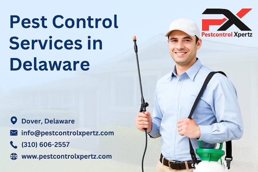 Top Tips for Choosing Reliable Pest Control in Glasgow