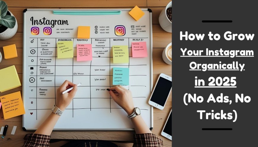 How to Grow Your Instagram Organically in 2025 (No Ads, No Tricks)