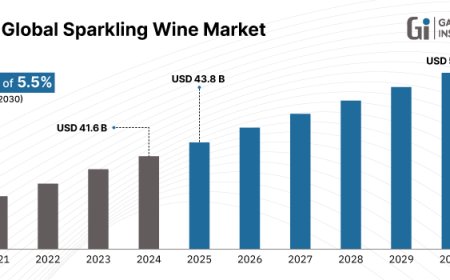 Sparkling Wine Market Report 2025–2030 | Forecast, Players, Innovations