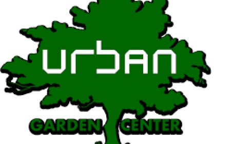 Urban Gardening Center Adds Viparspectra KS3000