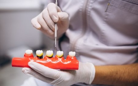 How Much Does Teeth Cleaning Cost? A Guide to Affordable Dental Care