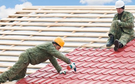 Professional Roof Repair for Palm Beach Gardens Homes