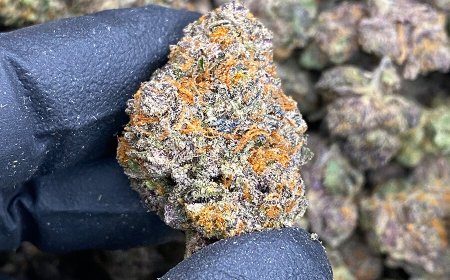 Exploring the Best Online THCA Dispensary: Your Guide to Quality and Convenience