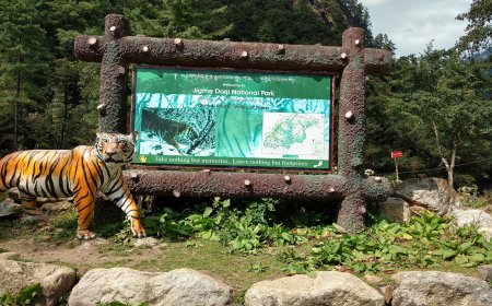 Exploring Bhutan’s Wild Side: A Nature Lover’s Guide to National Parks and Reserves