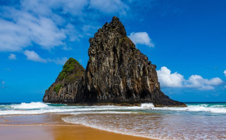 Turkish Airlines New York City Office: Your Local Gateway to Global Destinations