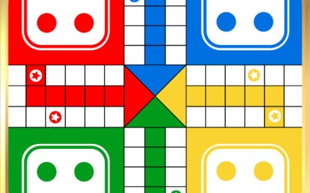 What is the Experience of Playing the Ludo Game?