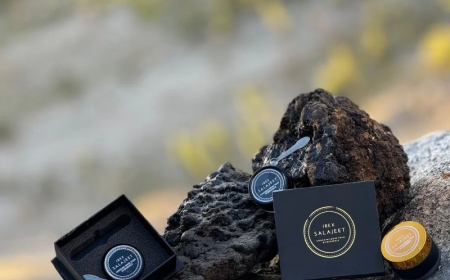 Burned Out, Brain-Fried, and Done With Everything... Then Salajeet Happened