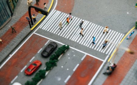 Reducing Road Accidents with Intelligent Traffic Signal Violation Detection Systems