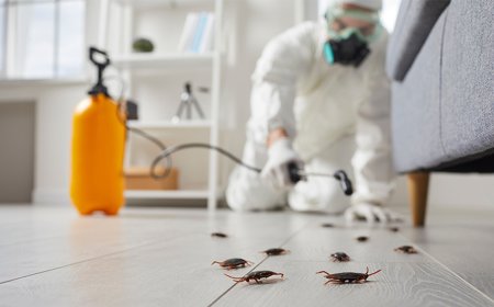Roach Exterminator Manhattan: What Really Works to Get Rid of Cockroaches for Good
