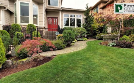 How Professional Landscaping Services Can Transform Your Curb Appeal?