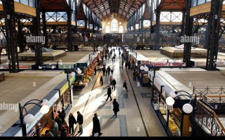 Discover Sweet and Cool Summer Sips Today