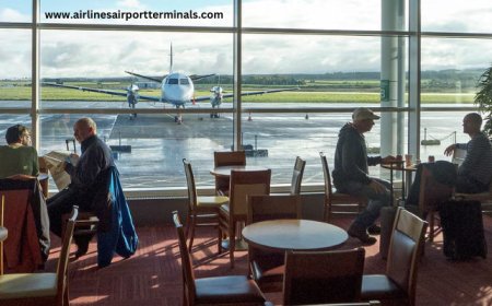 Spirit Airlines IAH Terminal: Check-In, Gates, and Services Explained