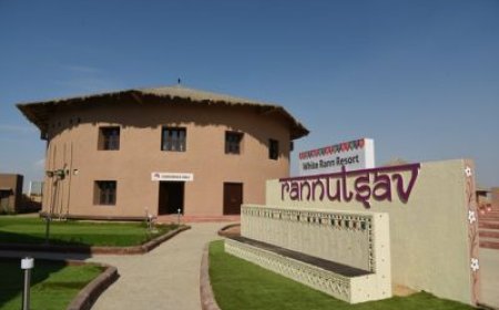 Hassle-Free Journeys: Why Transport is Included in Every Package