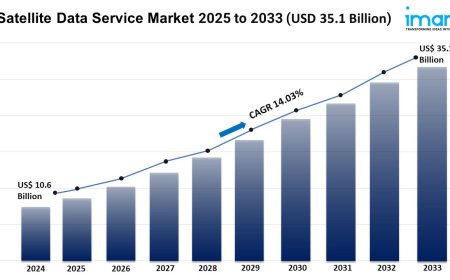 Satellite Data Service Market Report 2025 | Growth, Trends, and Forecast by 2033
