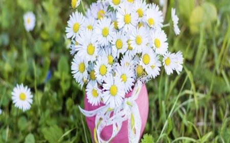 Top Flowers That Symbolize Good Luck and Prosperity