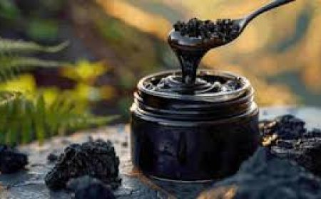 The Truth About Buying Shilajit in Pakistan No One Talks About