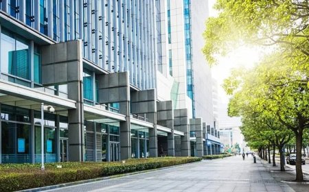 Shield Your Home: Expert Hurricane Window and Door Installation