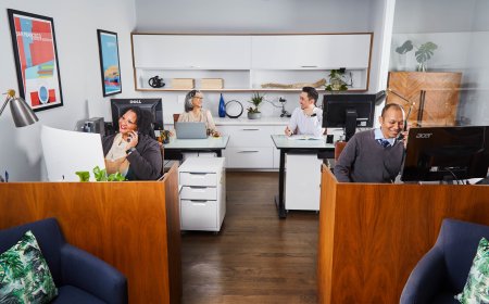 Top Berkeley Realtors and the Best Real Estate Agents in Albany, CA: Your Complete Property Guide