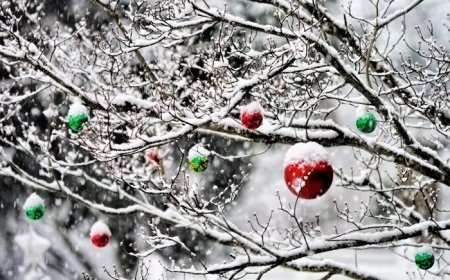 What Are Some Funny Christmas Jokes