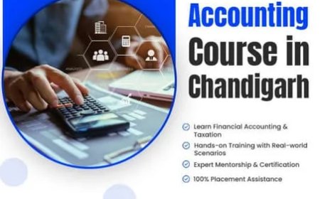 Accounting vs Finance: Which Course Should You Choose?