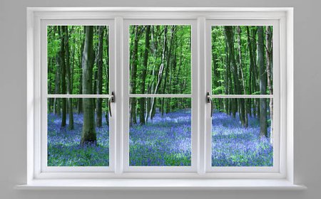 Understanding the Benefits of Double Glazing St Albans