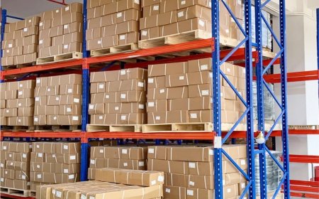 Pharma Industry Pallet Racking Solutions | Bari Engineering