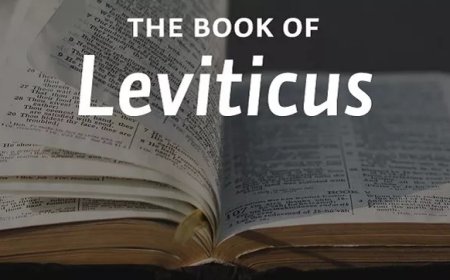 What Happens in the Book of Leviticus?