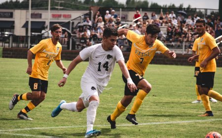 La Pasión Global por el Fútbol
