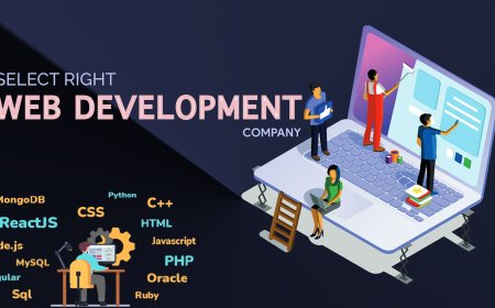 Professional Website Development Services in Delhi